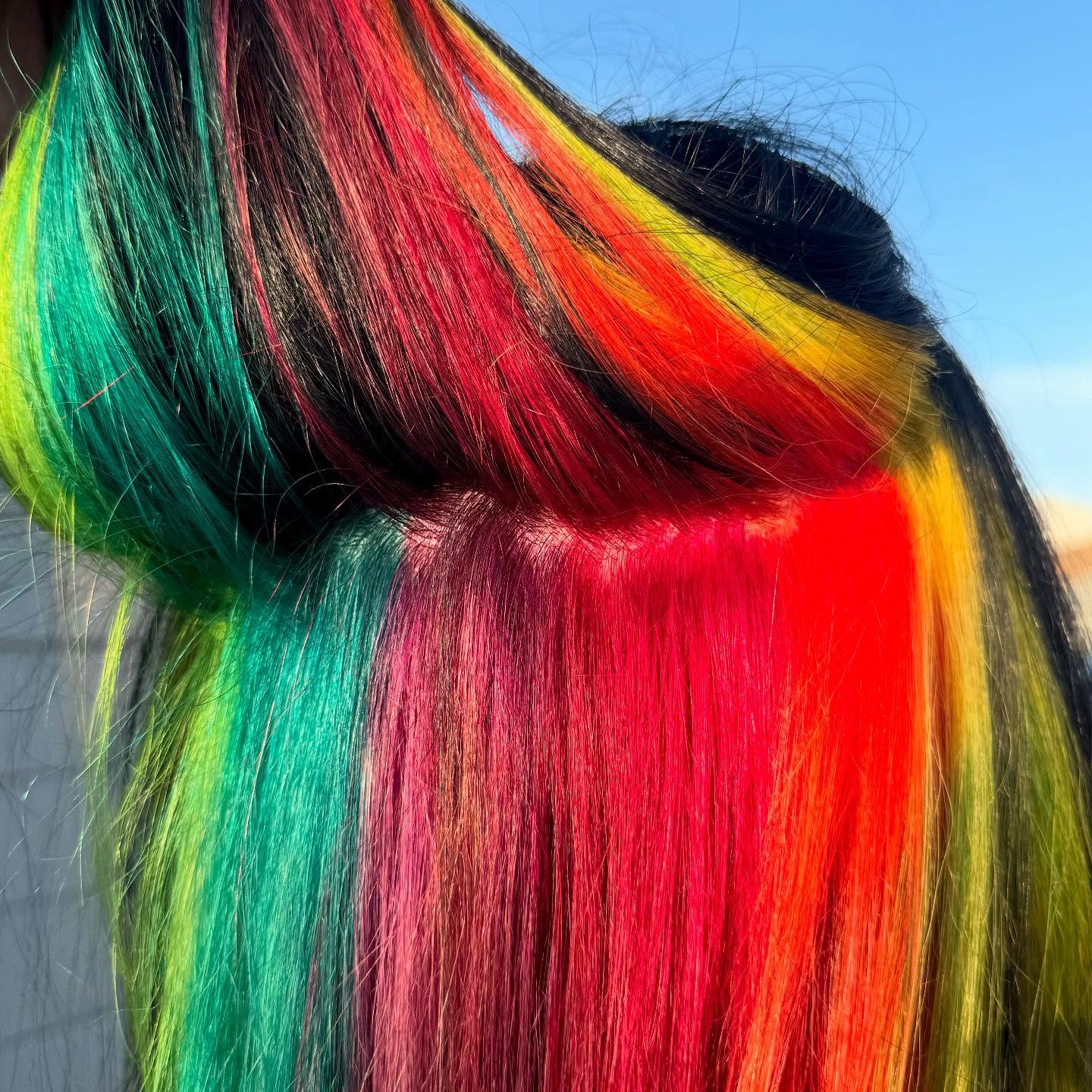 Rainbow vivid color sectioning